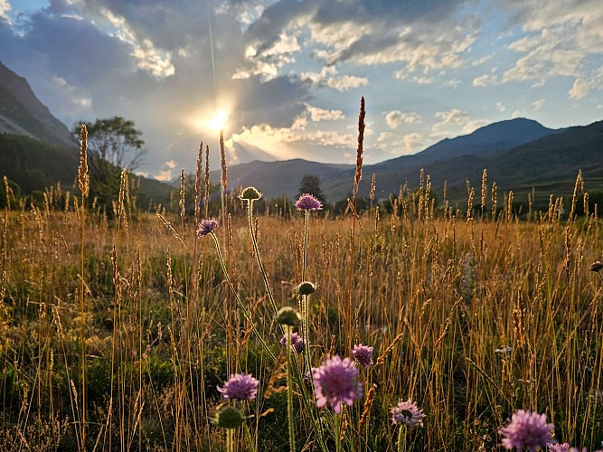 Sentier d'interprétation du marais du Bourget_Cervières