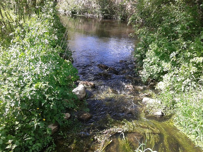 Sentier d'interprétation "Les méandres de la Sazée"