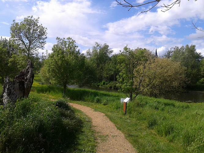 Sentier d'interprétation "Les méandres de la Sazée"