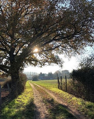 Le circuit Loire et forêt