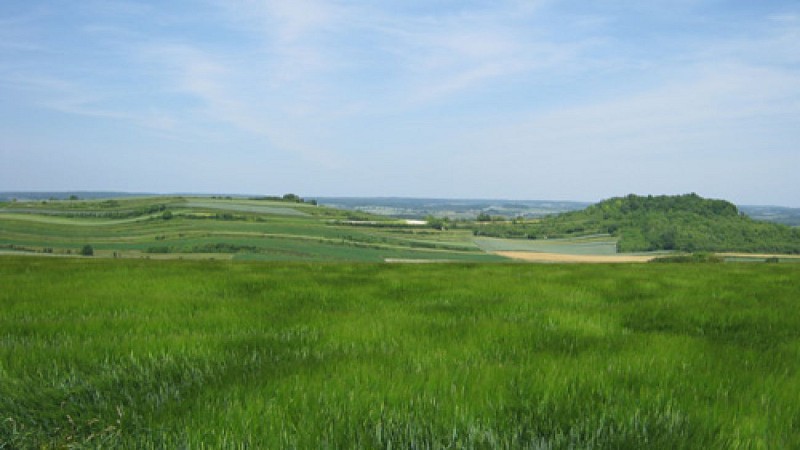 Escapades sur les Crêtes n°45 - Sentier de la montagne de Sery (Sery - 9,9km)