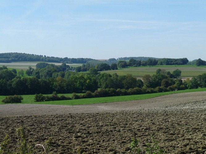 Randonnée - Le château de Doumely