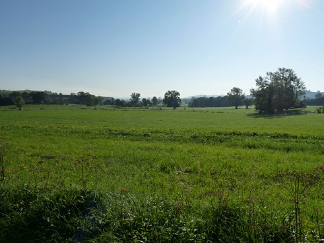 Randonnée - Les monts de Chappes