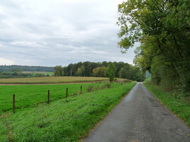 Escapades sur les Crêtes n°62 - Sur les traces de Clovis (Dommery - 12,5km)