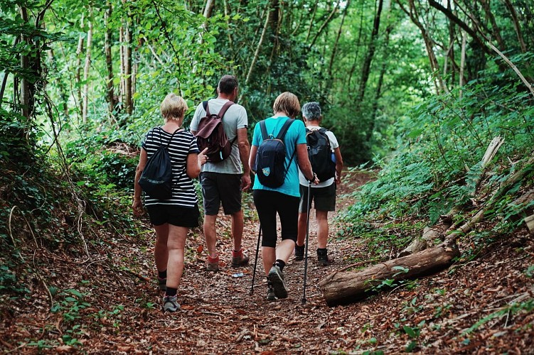 La Vallée de la Soulles - Montpinchon