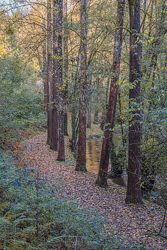 La Vallée de la Soulles - Montpinchon