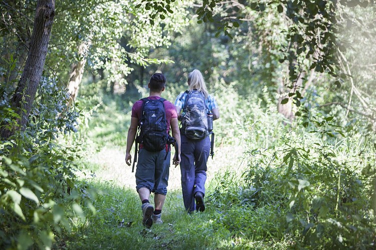 Randonnée le long de la Blies