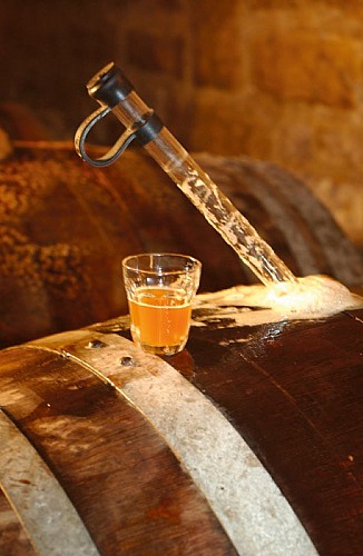 Escapades sur les Crêtes n°54 - Le tour de Saint Nicolas (Lalobbe - 6,5km)