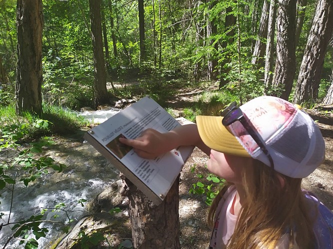 Sentier Le Refuge aux oiseaux