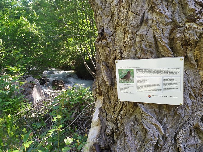 Sentier Le Refuge aux oiseaux