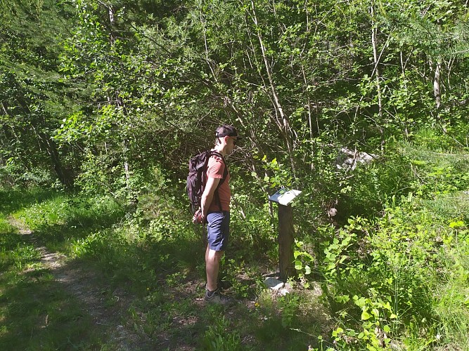 Sentier Le Refuge aux oiseaux