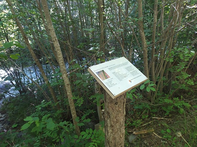 Sentier Le Refuge aux oiseaux