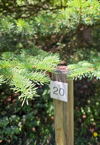 Sentiero botanico delle Cervières_Cervières