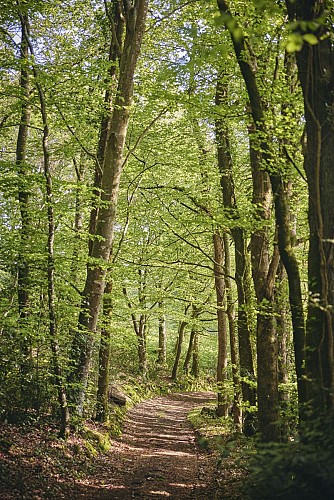 La chapelle des Costils - Roncey