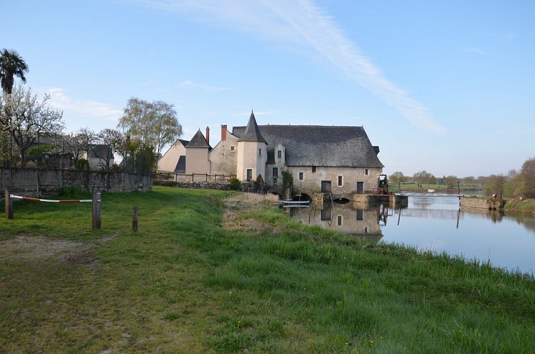 A la découverte des bords du Loir