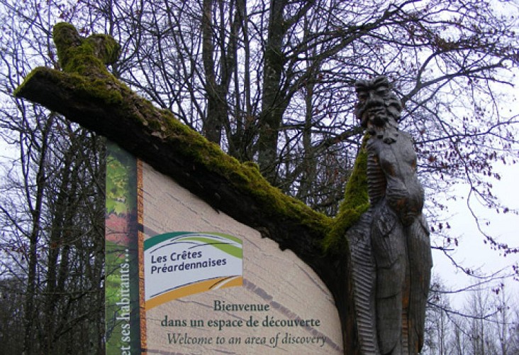 Escapades sur les Crêtes n°58 - Eau et forêt à Signy l'Abbaye (Signy-L'Abbaye - 6,3km)