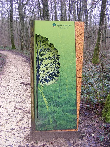 Escapades sur les Crêtes n°58 - Eau et forêt à Signy l'Abbaye (Signy-L'Abbaye - 6,3km)