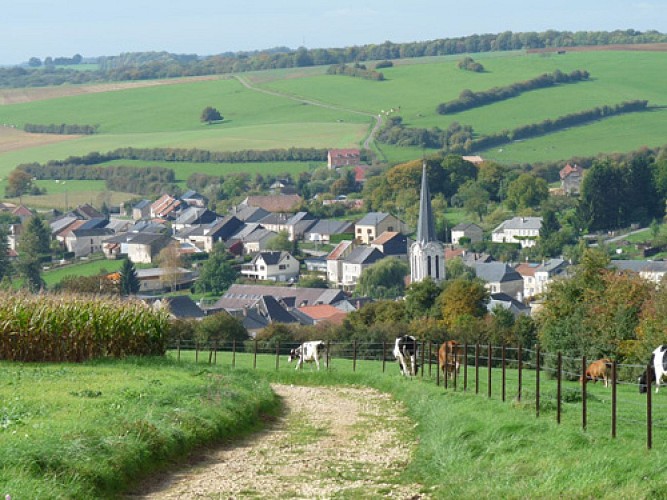 Escapades sur les Crêtes n°68 - Le bois de Néparcy (Thin-le-Moutier - 9,4km)