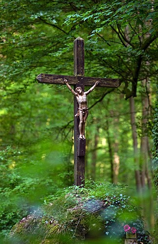 Escapades sur les Crêtes n°68 - Le bois de Néparcy (Thin-le-Moutier - 9,4km)