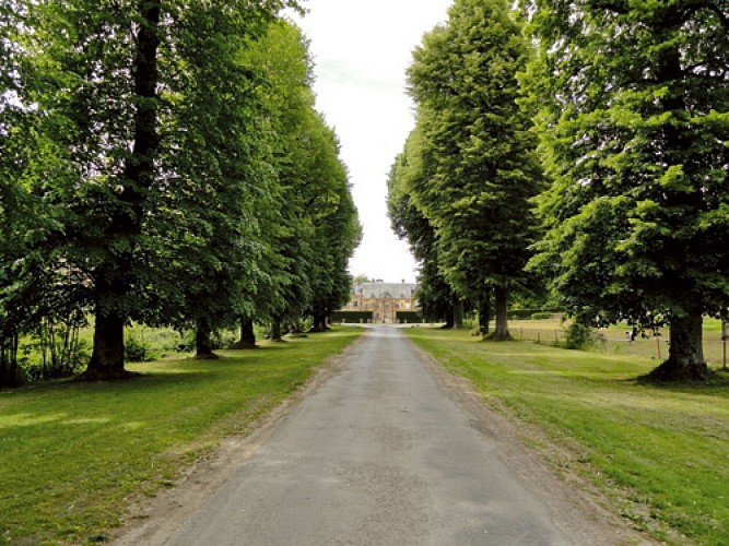 Escapades sur les Crêtes VTT N°3 - La boucle des châteaux (Guignicourt-sur-Vence - 17,7km)