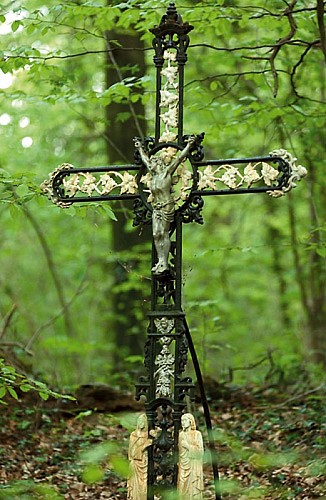 Escapades sur les Crêtes VTT N°3 - La boucle des châteaux (Guignicourt-sur-Vence - 17,7km)