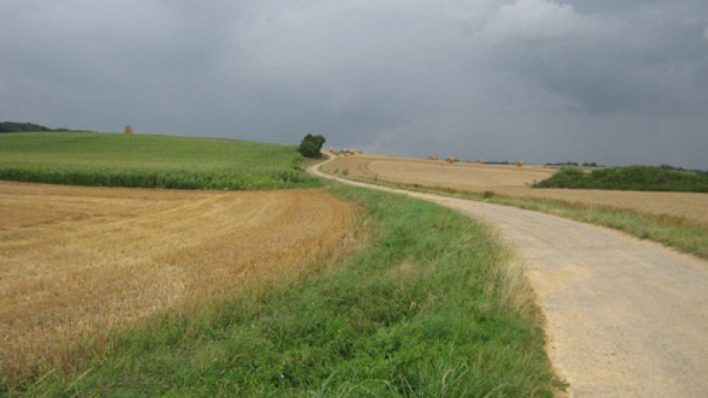 VTT - Aux alentours du Domaine de Vendresse