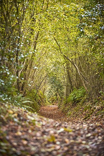 Circuit Notre-Dame - Notre-Dame-de-Cenilly