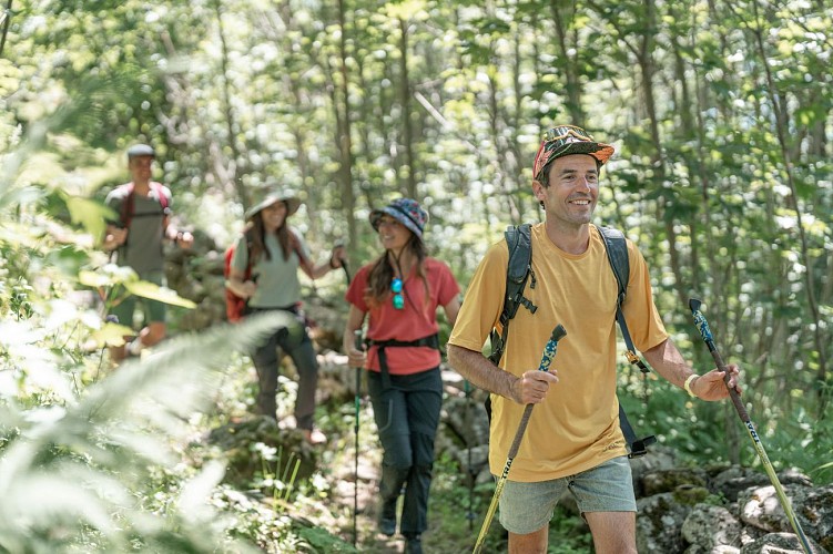 Randonnée dans la foret