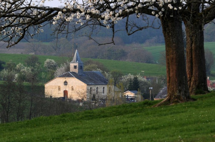VTT - Le Tourteronnais