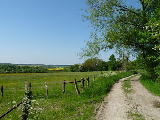 VTT - Le Panoramique