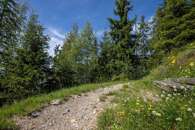 Chemin des Chevreuils
