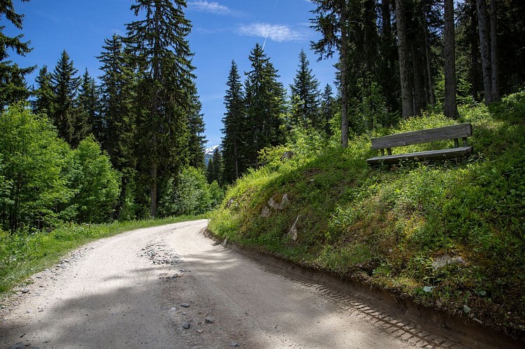 Chemin des Ecureuils - Le Bouc Blanc 1