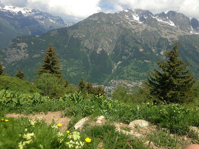Randonnée été : Voyage au bout de l'alpage
