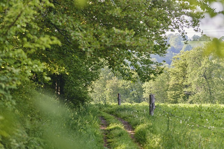 Entre Sienne et Bérence - Gavray