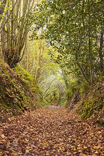 Le Saint-Évremond - Saint-Denis-le-Gast