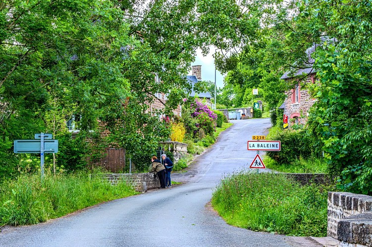 Circuit de la Baleine