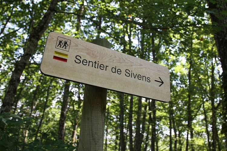 Forêt de Sivens