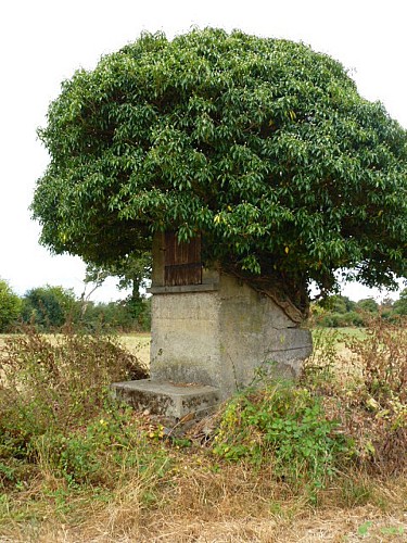 Circuit de l'étang des Brégères