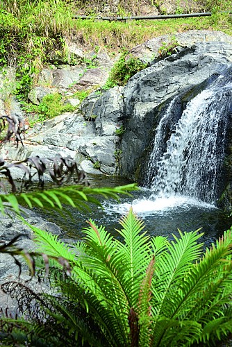 Sentier de la Petite Cascade