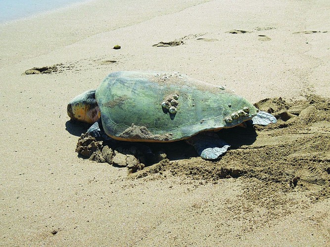 Sentier des Trois Baies