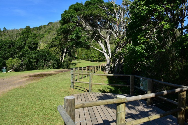 Parc des Grandes Fougères