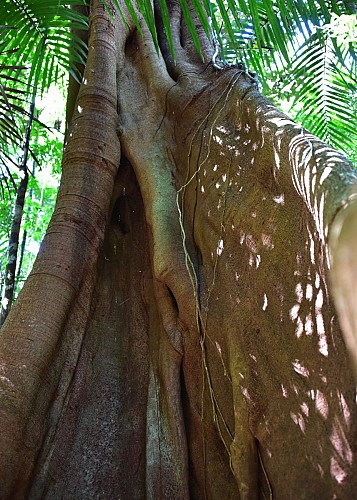 Pedestrian path of Four à Pain