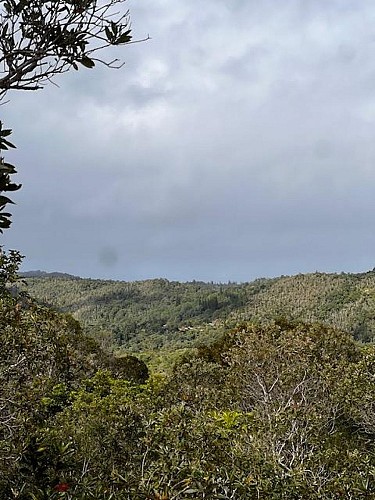 Peak Monnier Trail_Farino