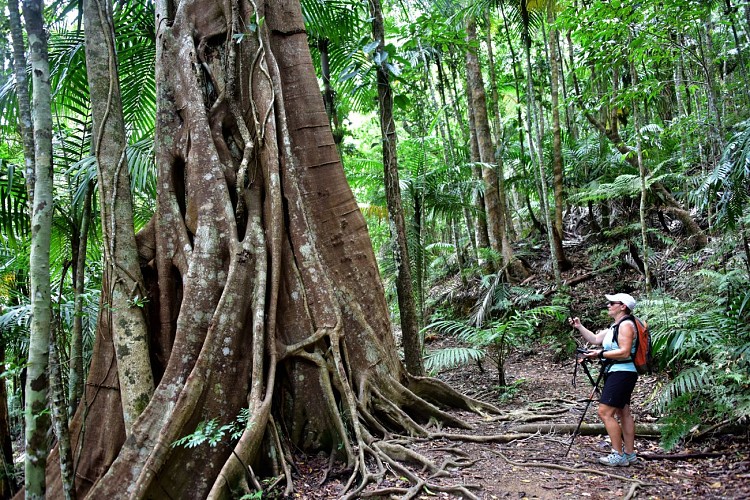 Parc des Grandes Fougères