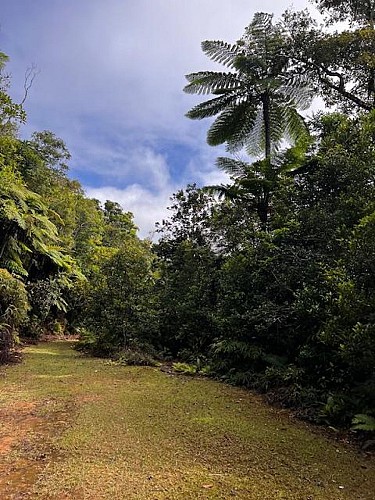 Panoramic pedestrian path_Farino