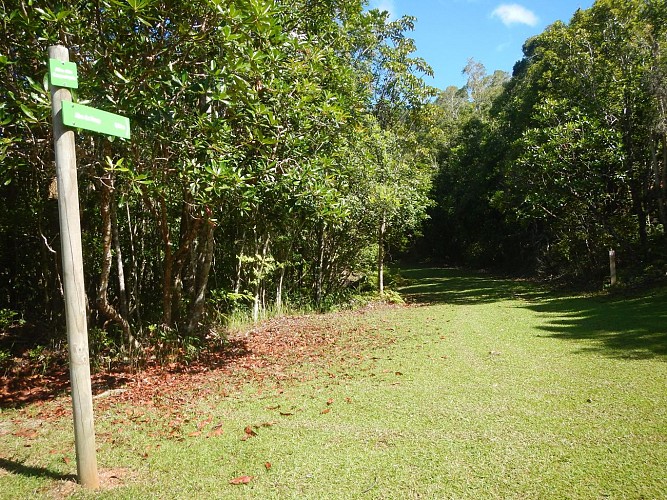 Panoramic pedestrian path