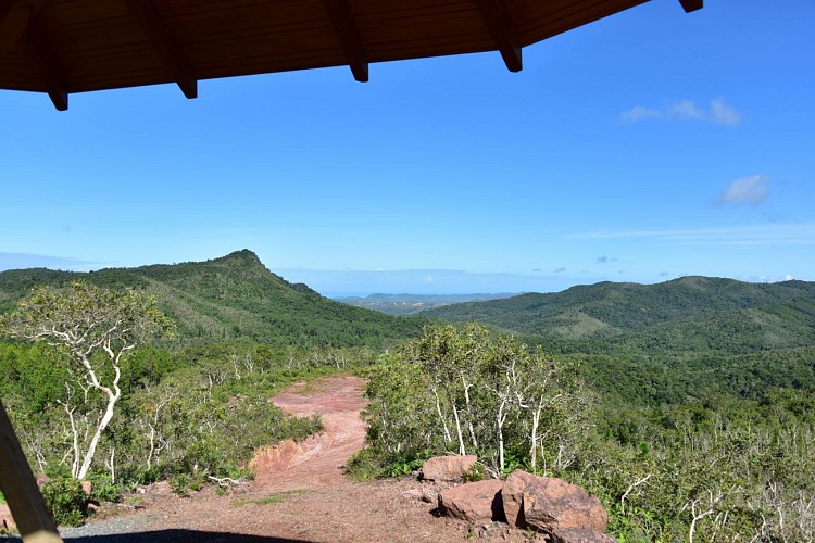 Panoramic pedestrian path