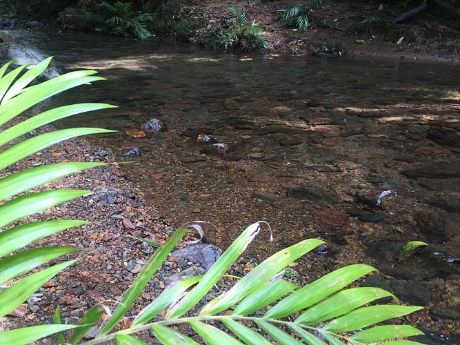 Panoramic pedestrian path
