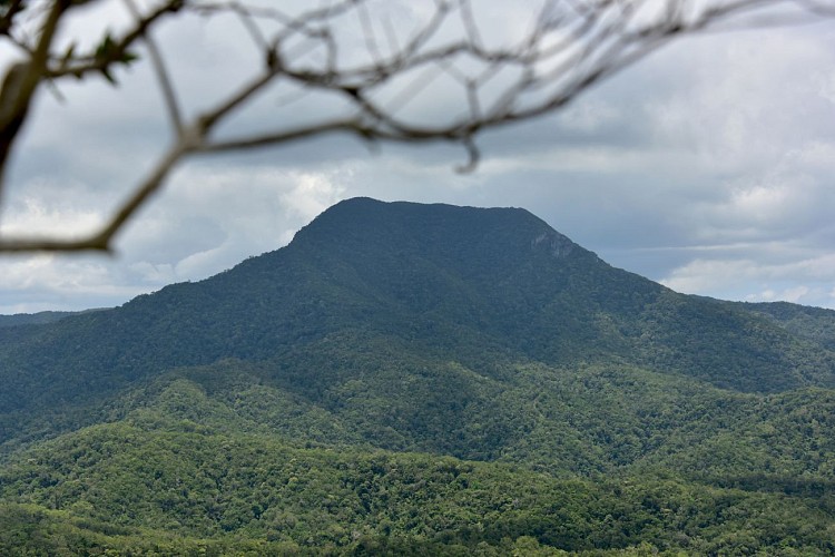 Parc des Grandes Fougères