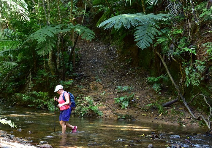 Parc des Grandes Fougères